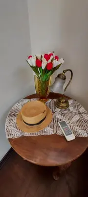 a table with a vase of flowers on top of it at Villa Skadarlija in Belgrade