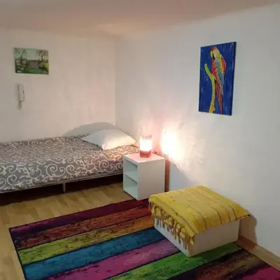 Kiwi Apartment