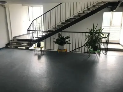 a staircase with two potted plants in a room at Arena Apartman in Belgrade