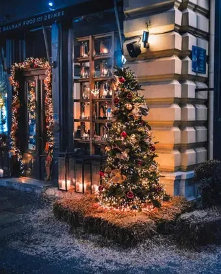 a christmas tree in front of a building at Knez Mihailova, Beograd in Belgrade