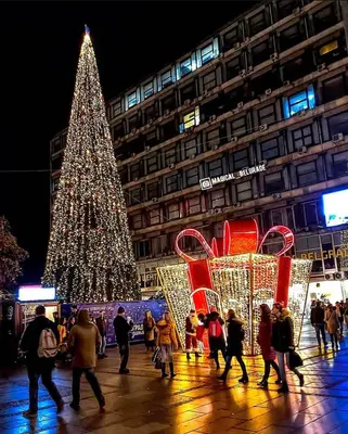 people walking around a christmas tree in front of a building at Knez Mihailova, Beograd in Belgrade