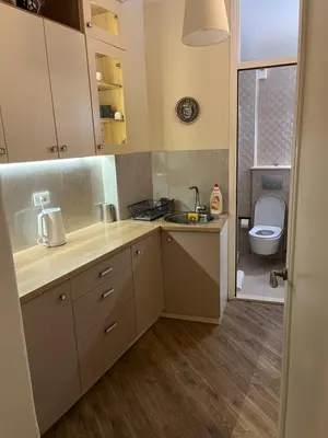 a small kitchen with a sink and a toilet at Apartment No1 in Belgrade
