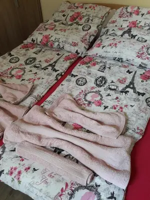 a bed with pink blankets on top of it at Apartment Ema in Belgrade