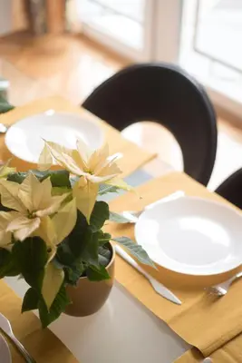 a table with white plates and a plant on it at Free.three in Belgrade