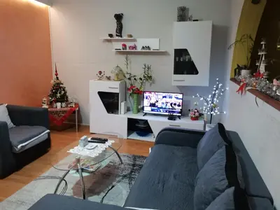 a living room with a couch and a tv at Apartman Fenix in Belgrade