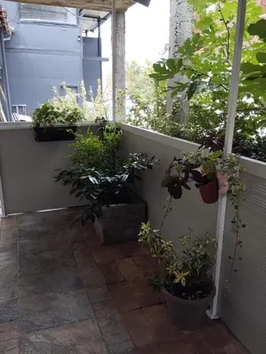 a patio with potted plants on a balcony at Apartman Fenix in Belgrade