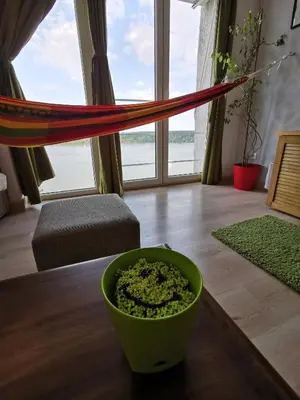 a hammock in a living room with a green bowl on a table at Gardos riverview in Belgrade