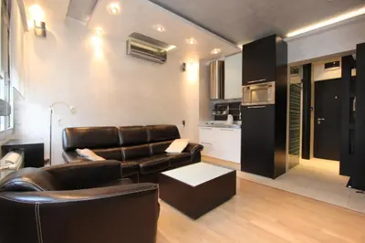 a living room with a leather couch and a table at Business & Travel Apartments in Belgrade