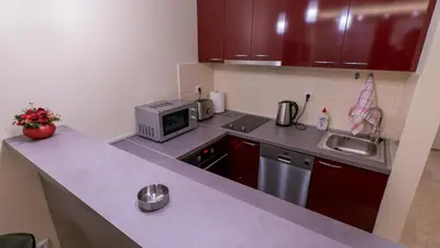 a small kitchen with a sink and a microwave at Burgundy Apartment in Belgrade