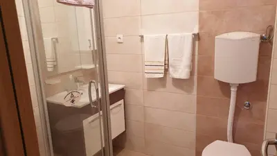 a bathroom with a shower and a toilet and a sink at Guest House Boska in Pančevo
