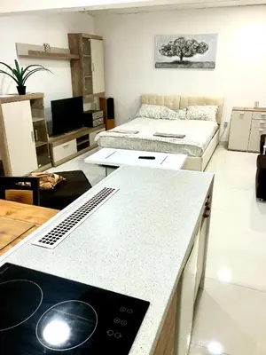 a living room with two beds and a kitchen with a desk at Apartment on a river avenue in Pančevo