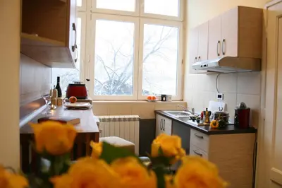 a kitchen with yellow flowers in the foreground and a window at Belgrade Stay Apartments in Belgrade