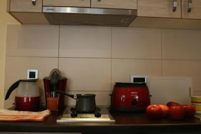 a kitchen counter with a stove with a toaster and tomatoes at Belgrade Stay Apartments in Belgrade