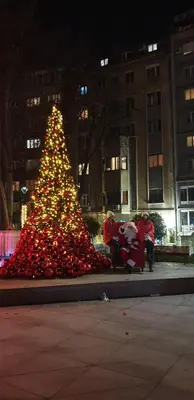 a christmas tree with people sitting around it at Supreme Palace Cube in Belgrade