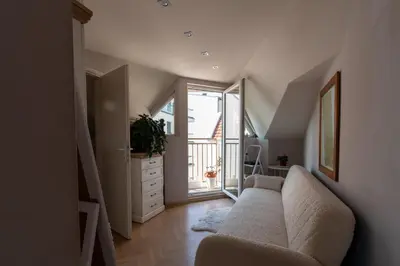 a living room with a couch and a window at KLARA VRACAR 90 m2, dve i po spavace sobe in Belgrade