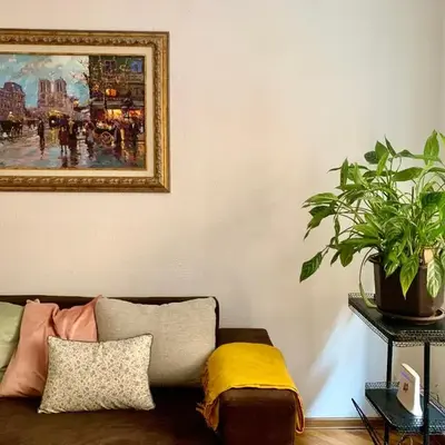 Star apartment 2