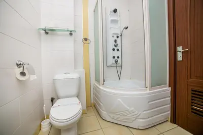 a bathroom with a white toilet and a shower at Residence Amelie in Belgrade