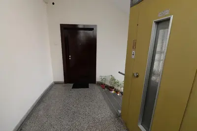 a hallway with a brown door and some plants at OBILIĆ in Belgrade
