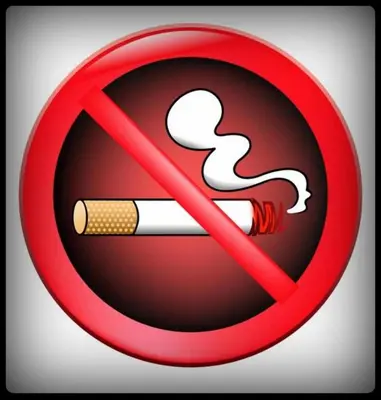 a no smoking sign with a cigarette in it at City Center Lovely Studio Apartment in Belgrade