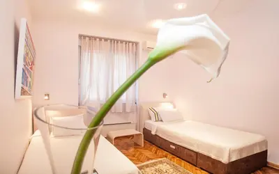 a bedroom with a bed and a white flower in a room at Piano Cube in Belgrade