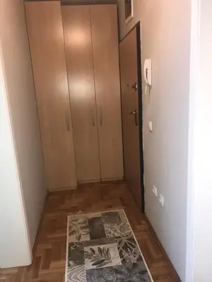 a hallway with a door and a rug on the floor at Apartman AS in Belgrade