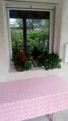 a pink mattress in front of a window with flowers at Anni in Belgrade