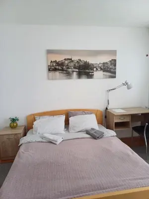 a bedroom with a bed with a painting on the wall at Sobe Neva in Belgrade