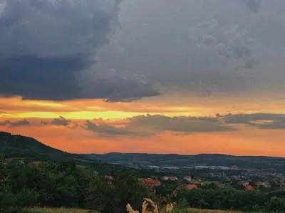 a view of a sunset from a hill with trees at Branch in Arandjelovac