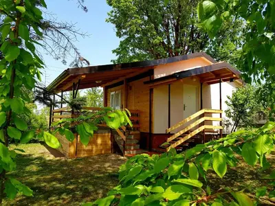 a small cabin in the middle of a forest at HELONA in Arandjelovac
