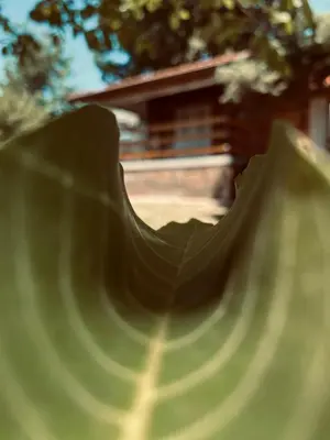 a slide in front of a house at HELONA in Arandjelovac