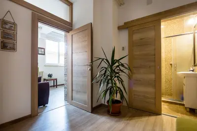 a hallway with a door and a potted plant at The Duke Apartment in Belgrade