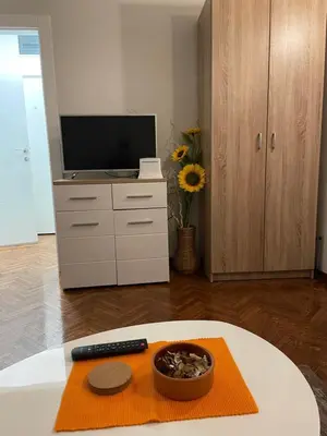 a living room with a television and a bowl of food at Apartment Dada Center of Belgrade in Belgrade