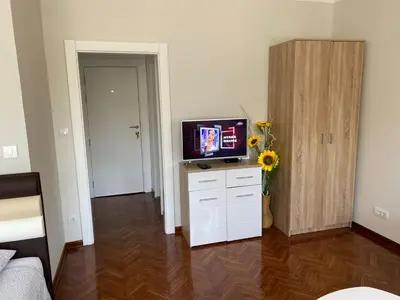 a living room with a television and a vase of flowers at Apartment Dada Center of Belgrade in Belgrade
