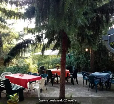 a group of tables and chairs under a tree at Šumska kuća Atina - Devojački Bunar in Alibunar