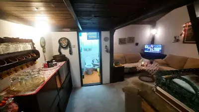 a living room with a couch and a tv at Šumska kuća Atina - Devojački Bunar in Alibunar