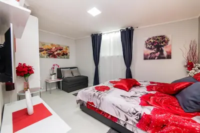 a bedroom with a large bed with red pillows at Apartment Romanov in Belgrade
