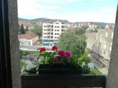 a window with flowers in a pot on a window sill at Apartman LENA in Arandjelovac
