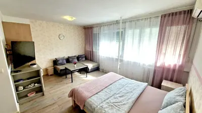 a bedroom with a bed and a couch and a television at Apartmani Paku in Belgrade