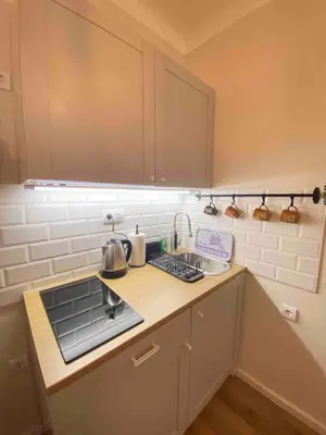 a small kitchen with a stove and a sink at Apartment 42 - City Center in Belgrade