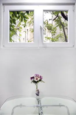 a vase of flowers sitting on a sink with two windows at Natalie's Home in Belgrade