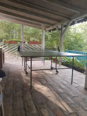 a ping pong table sitting on a patio at Šumska kuća Sandy in Banatski Karlovac