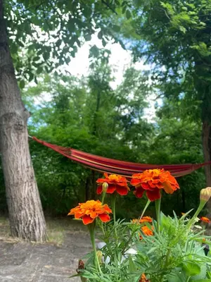 a hammock in a garden with red flowers and trees at Šumska kuća Sandy in Banatski Karlovac