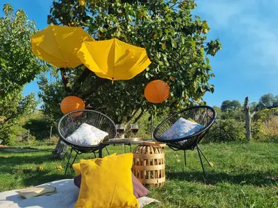 two chairs and a table with umbrellas in a field at Vila Stancevic wellness in Sremski Karlovci
