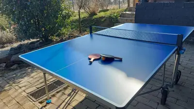 a blue ping pong table with two balls on it at Vila Stancevic wellness in Sremski Karlovci