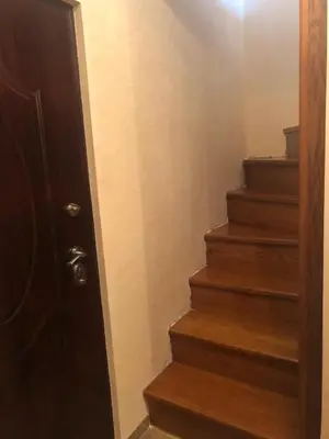a stairway with a wooden door and some stairs at Danube duplex apartment in Smederevo