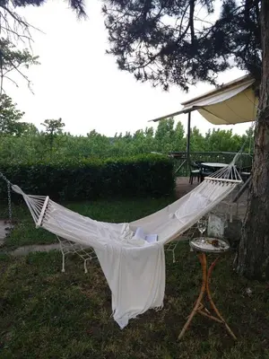 a hammock hanging from a tree in a yard at Belegis Villa in Stari Banovci