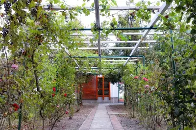 a greenhouse filled with lots of plants and a red door at Belegis Villa in Stari Banovci