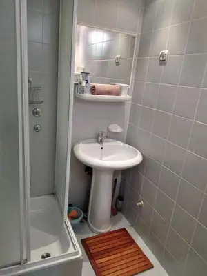 a small bathroom with a sink and a shower at Belegis Villa in Stari Banovci