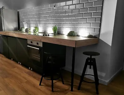 a kitchen with a counter with potted plants on it at Viktor Luxury Suites in Belgrade