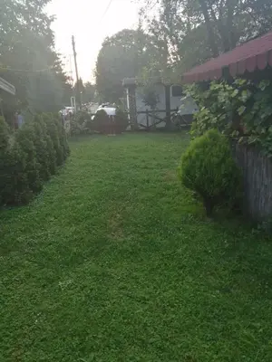 a yard with green grass and a fence at Apartment Viktor in Belgrade